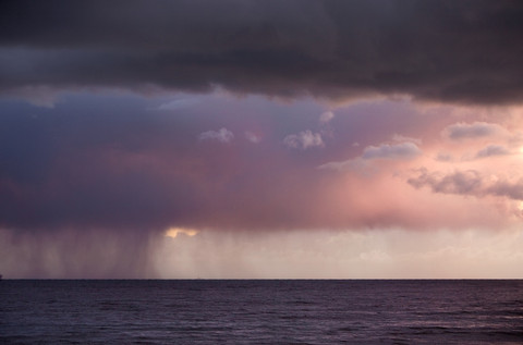 Purple Rain - Photography by Adam Rose