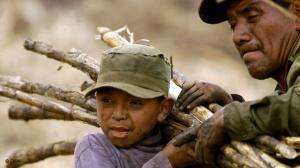 Father and Son - Slave Labor in Brazil